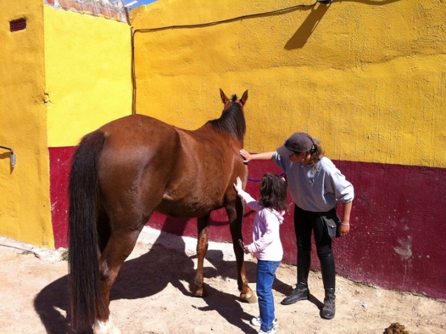 Aprendiendo a asear al animal